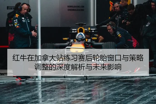 红牛在加拿大站练习赛后轮胎窗口与策略调整的深度解析与未来影响